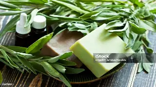 厦门桑拿趋势大揭秘：脆皮打工人如何通过桑拿实现深度放松？